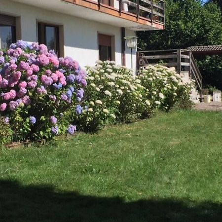 Villa Immersa Nel Verde A Lanzo dʼIntelvi Εξωτερικό φωτογραφία
